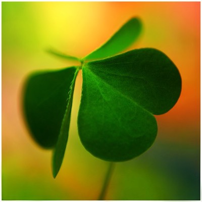 Curl With a Drop  for snowfoxx by rizzyart